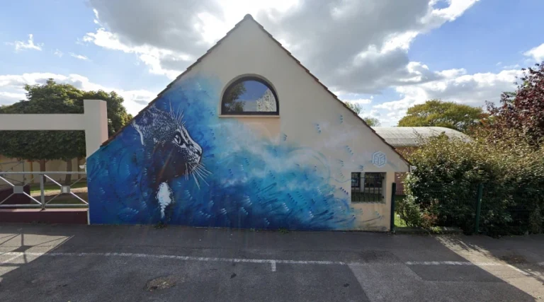 C215 (Christian Guémy)