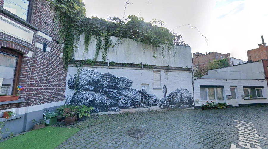 ROA